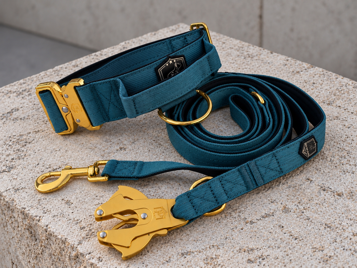 Combat Saftey Set | wave rider