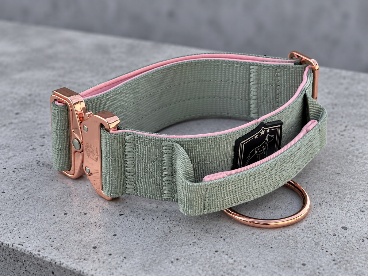 Combat Saftey collar | mermaid kiss