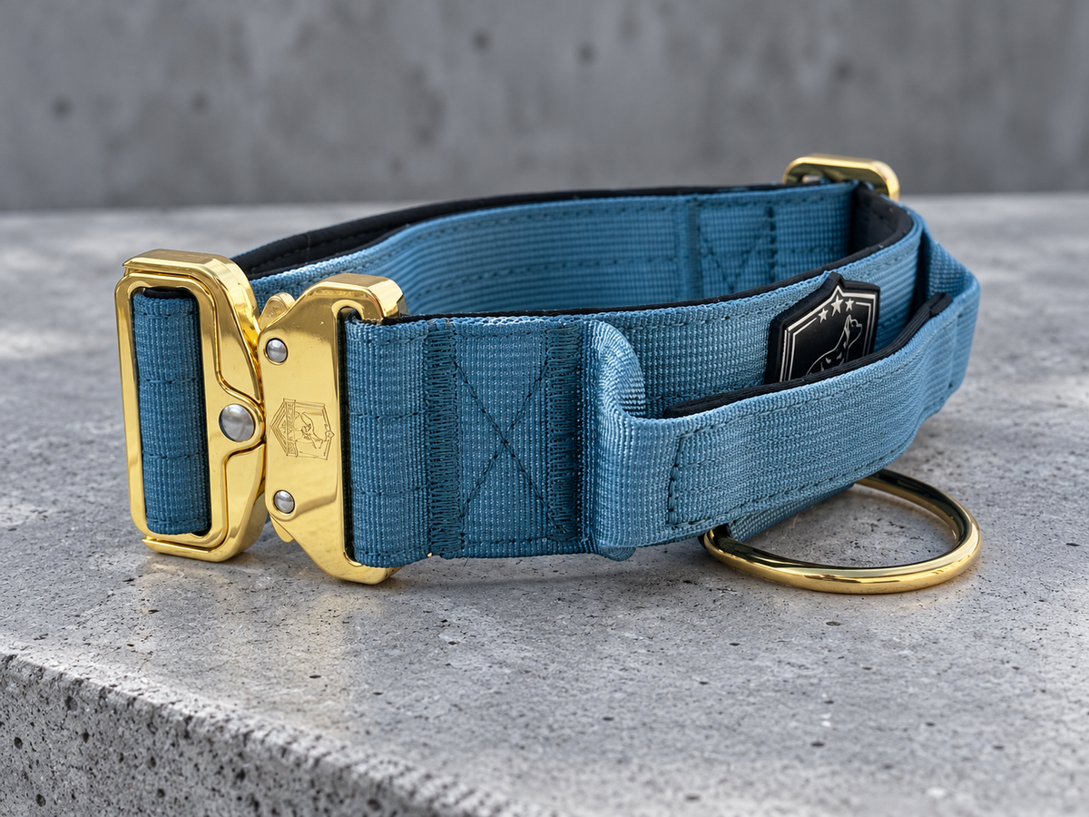 Combat Saftey collar | wave rider