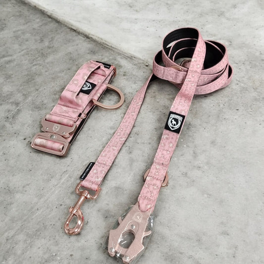 Combat Saftey Set | Rebell Leo
