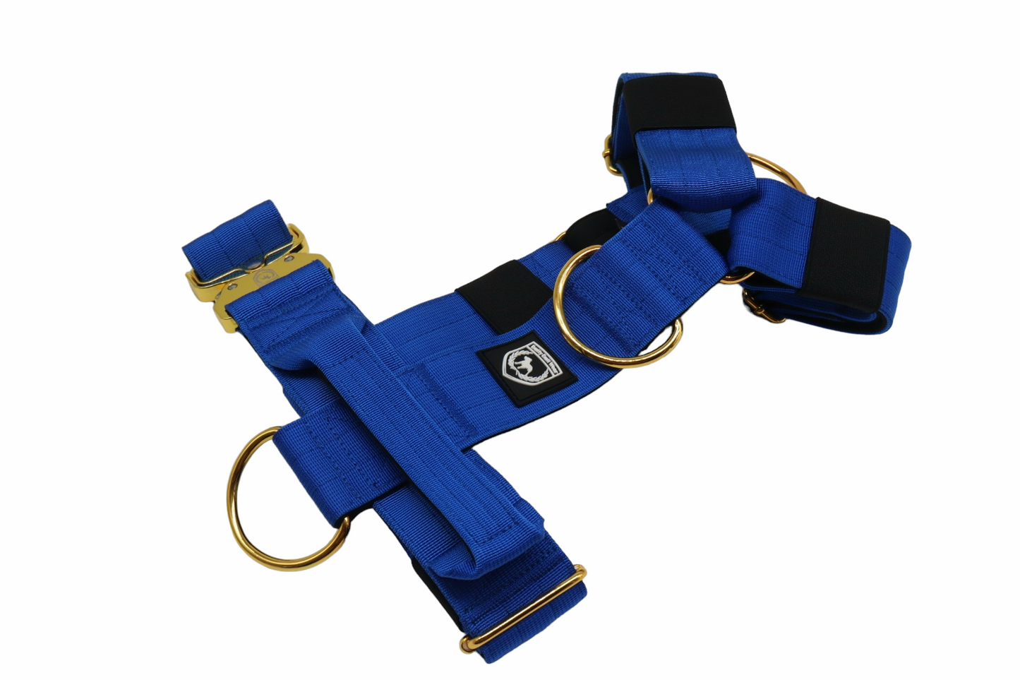 Shape Geschirr I royalblue-gold