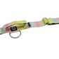 Combat Collar  | rainbow - platinum