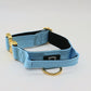 Combat Collar | babyblue - gold