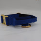 Combat Collar I royalblue - gold